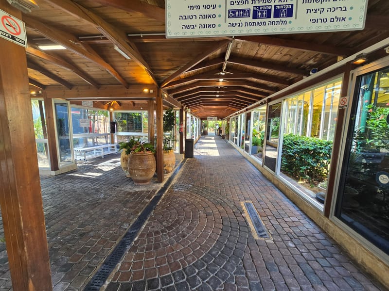 горячие источники Хамей Гааш - суббота