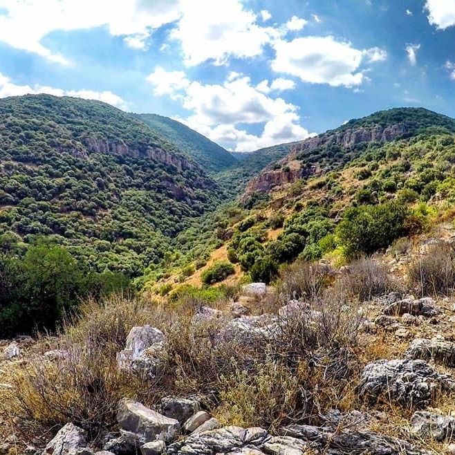 Путешествие во времени по вечнозеленой горе Кармель.