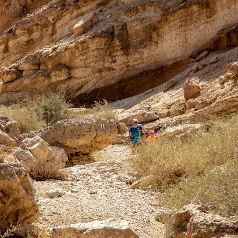 Зимняя пустыня Негев.  От Нахаль Хатира и  гев Ямин к роднику Эйн Йоркам 10 -12 км