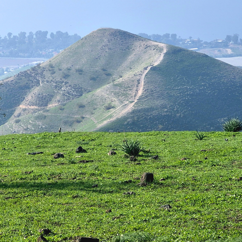 Походы по пятницам. Голанский Трек с Горячим Завершением - 6 км- легкий