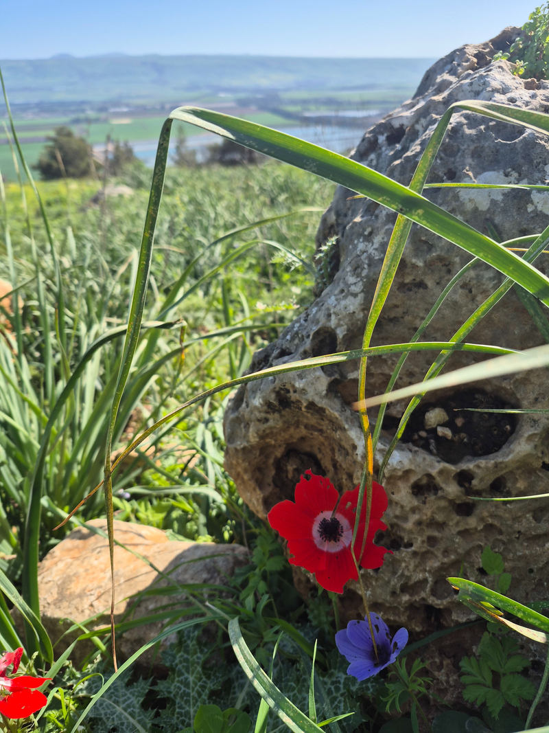 Путешествие над облаками: маршрут по горе Гильбоа! Протяженность 10 км, средний.
