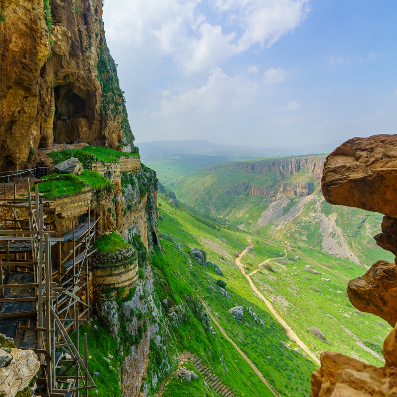 Швиль Исраэль:Пятничная группа -участок 11 От Арбеля   до Швейцарского леса. Протяженность 12-13 км.