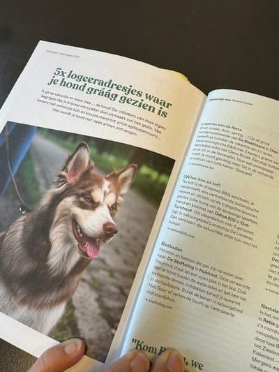 Logeeradresje waar je hond graag gezien is.