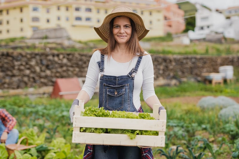 Marché de producteurs