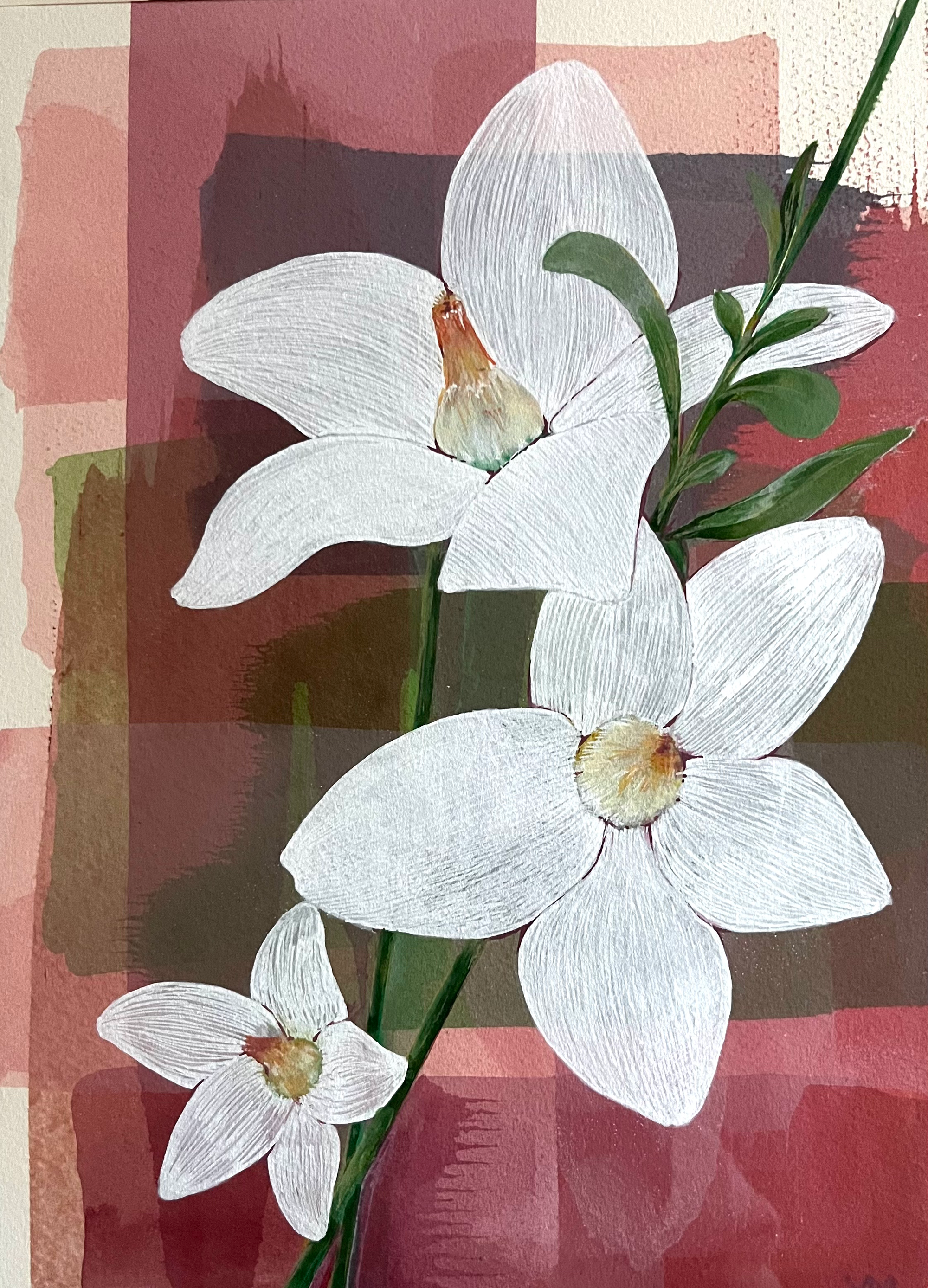 May birthflower on Pink