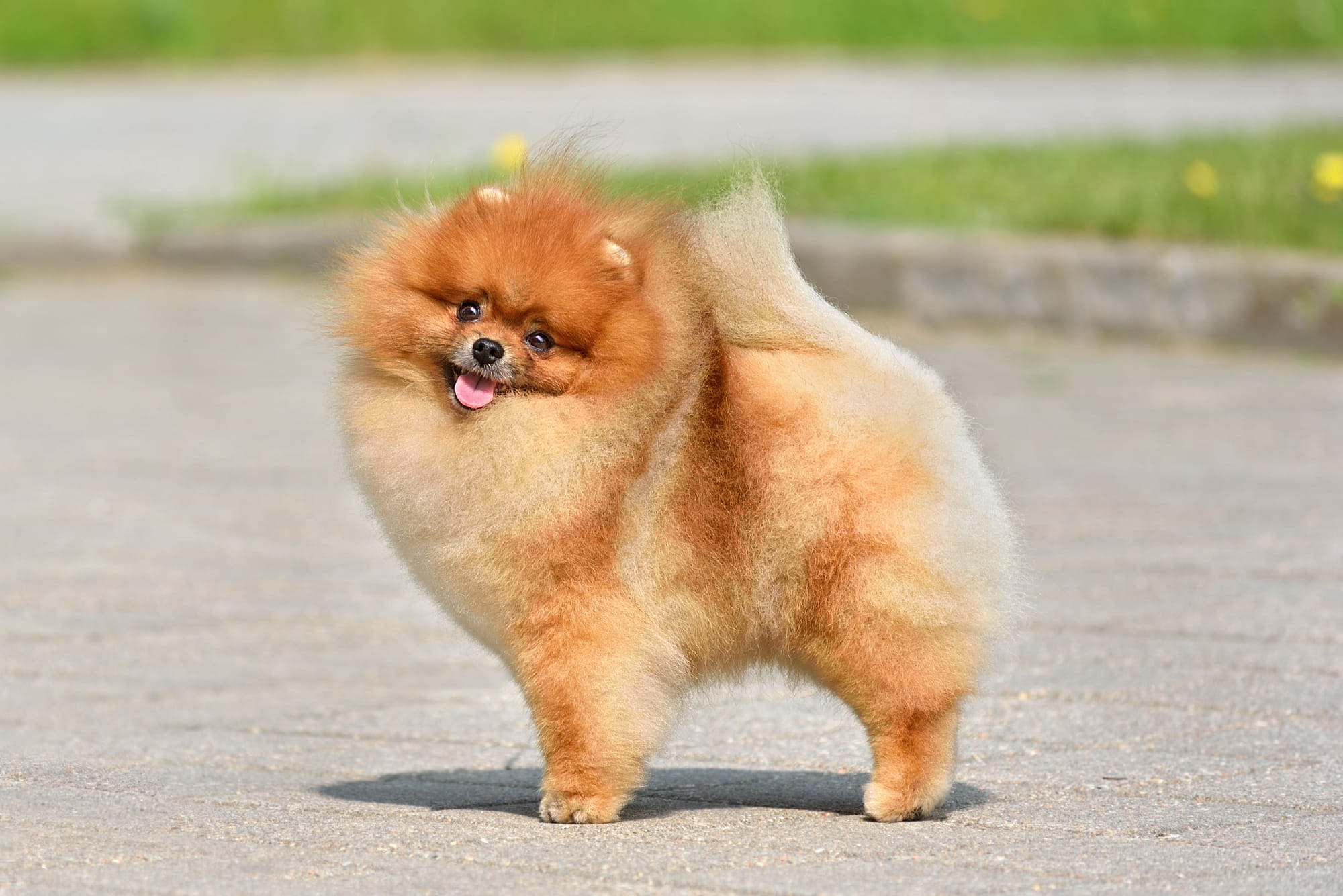 HOW TO MAKE EXTRA MONEY