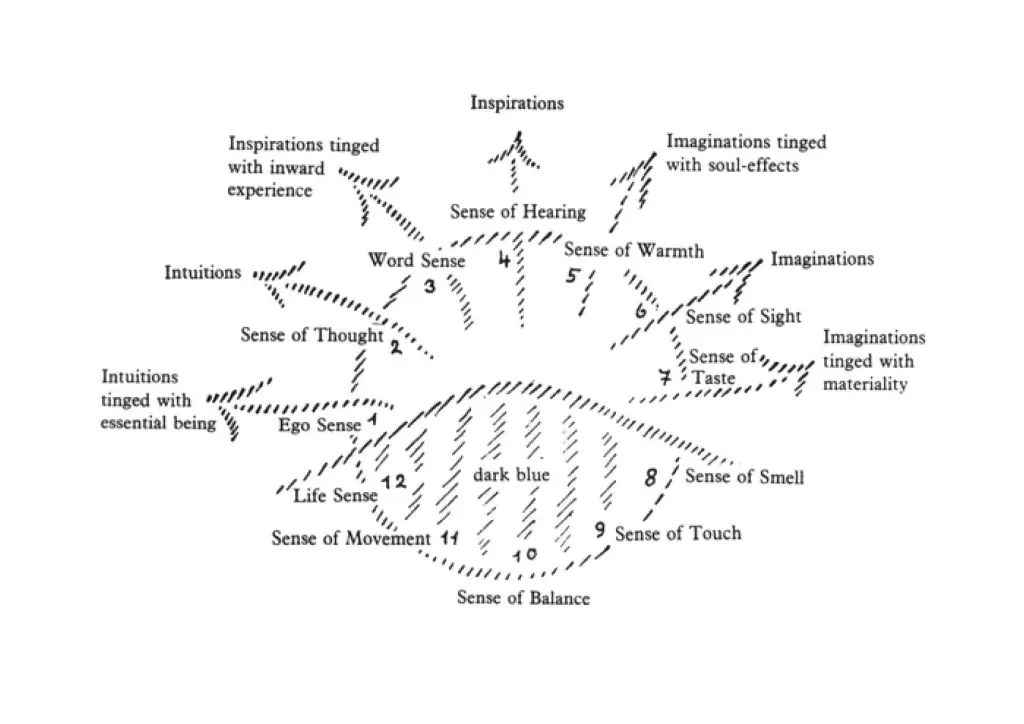 12 Senses Rudolf Steiner