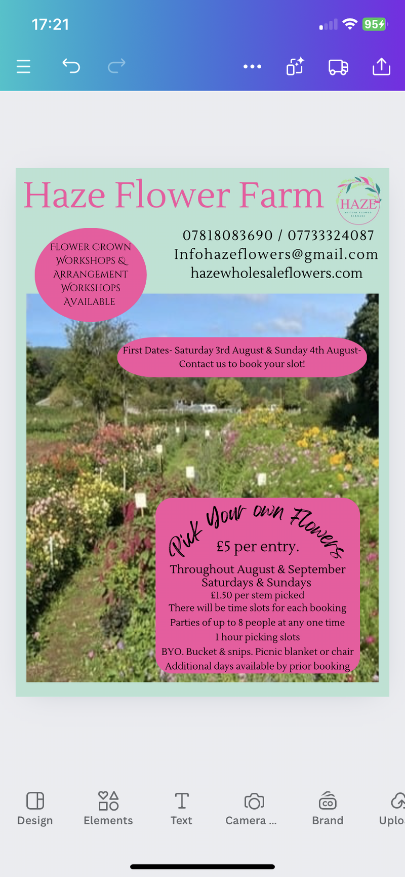 Pick Your Own Flowers