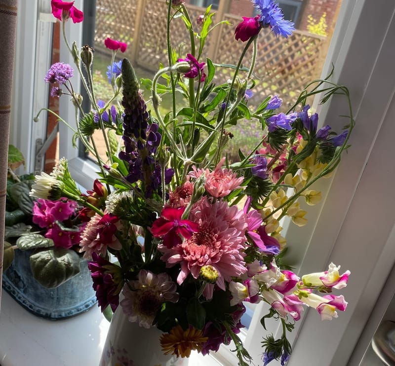 Flower guidance and advice.