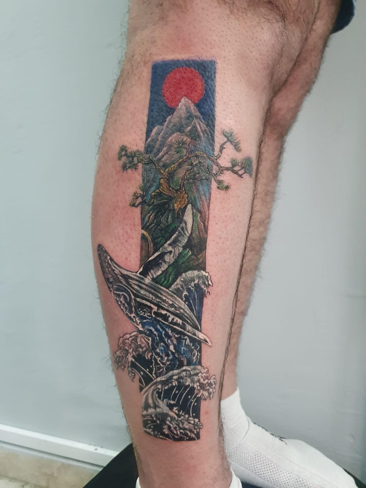 גלריית קעקועים