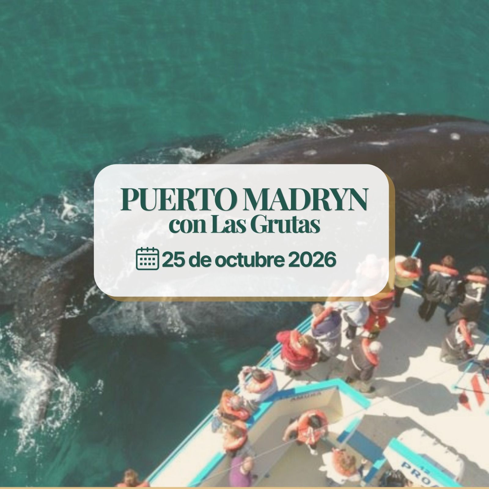 PUERTO MADRYN CON LAS GRUTAS