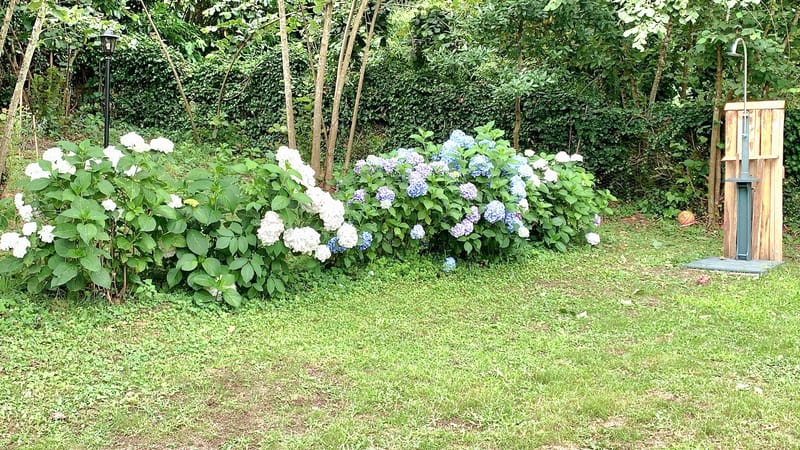 Villa on the lake , 40km for Rome