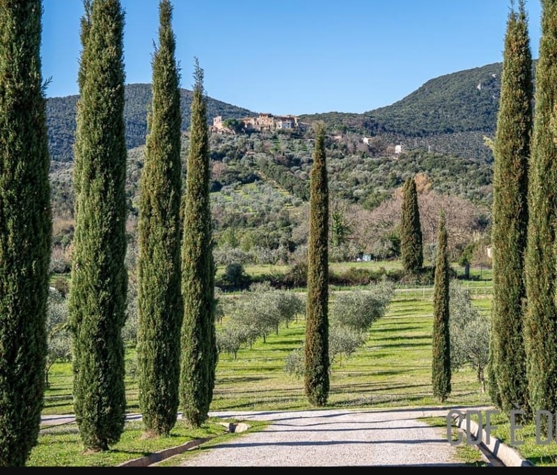 שילוב של בית אוטנטי , בילוי ים ואהבה ליין .