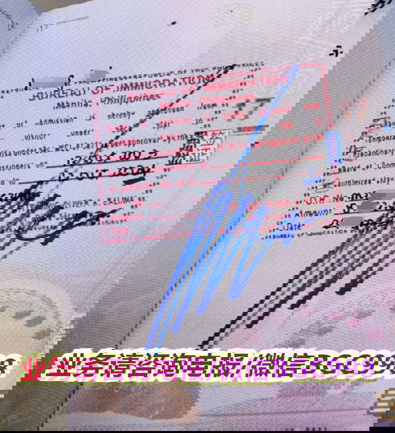 菲律宾SRRV成功案例