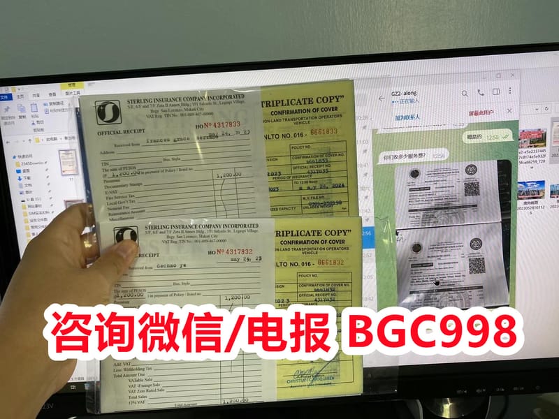 菲律宾投资委员会(Board of Investments)的永居签证介绍