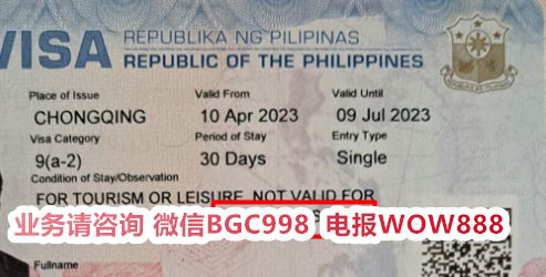 Does a Philippines marriage visa (13A) expire?