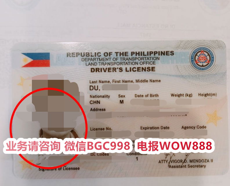 菲律宾婚签13A对子女长期教育规划有哪些帮助？