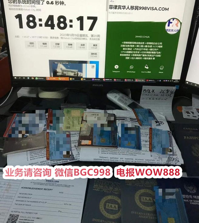 有了婚签13A是否可以申请菲律宾国籍？