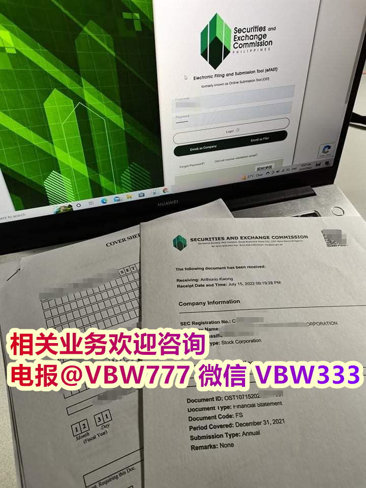 菲律宾OPC 公司注册的要求和流程