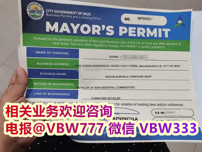 中国人在菲律宾注册公司的优势