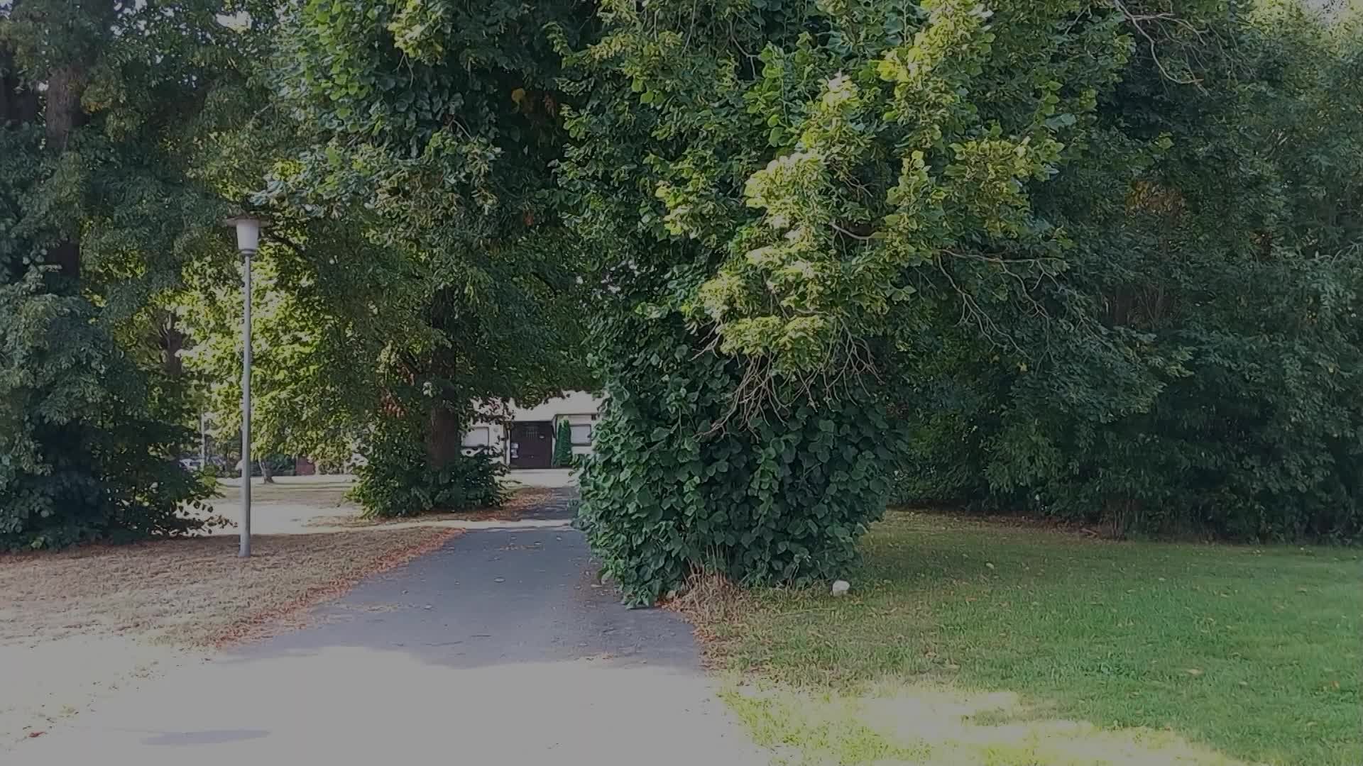 Clip SG 1864 Oberkotzau