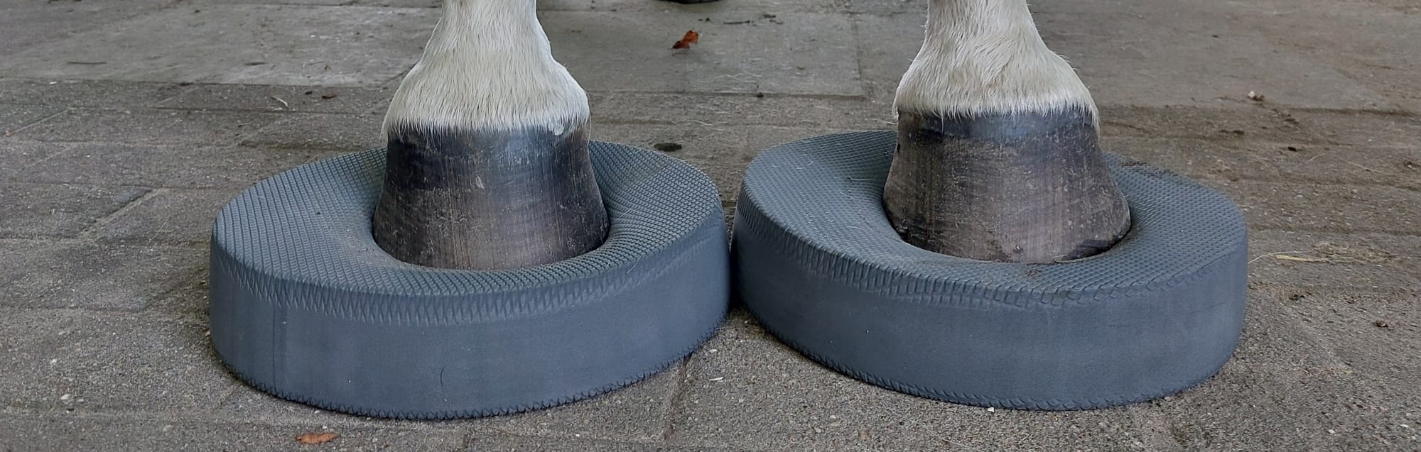 Arbeit mit den Balance Pads