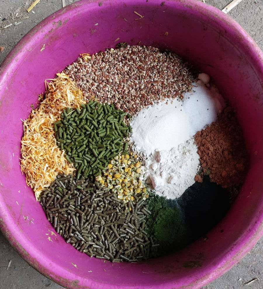 Naturnahe Futterschüssel