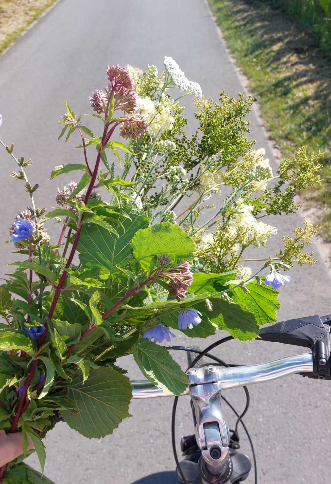 Naturnahe Pferdefütterung