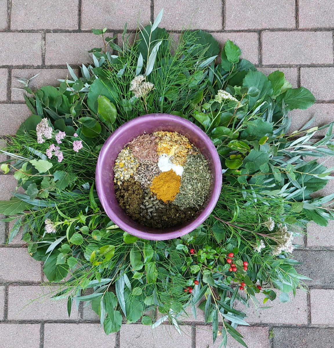 Naturnahe Futterschüssel