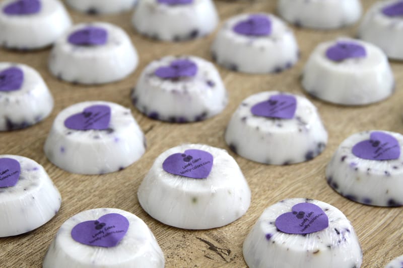 Lovely Colors — Brand Identity & Print Production System