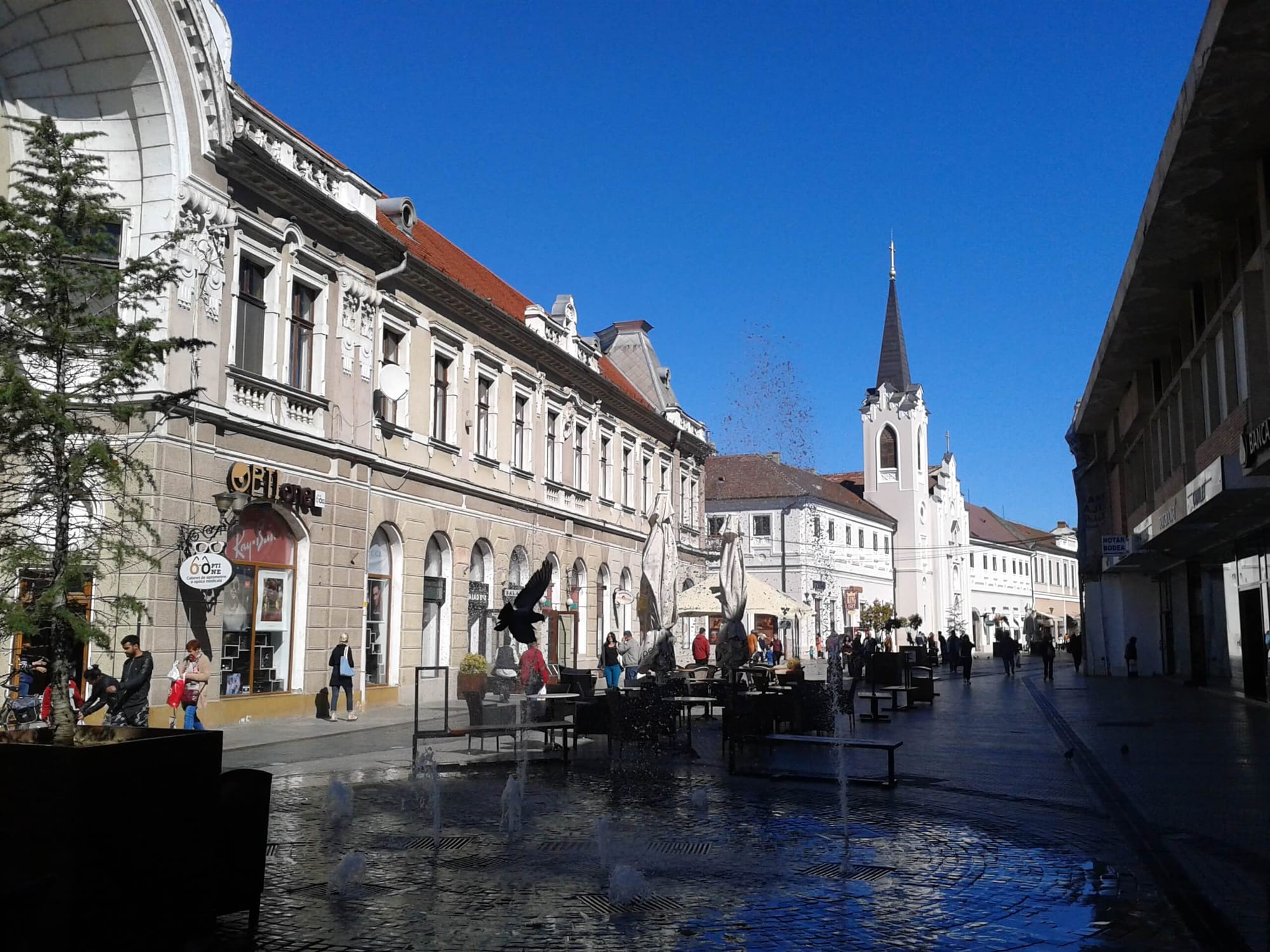 arad oradea