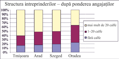 structura intreprinderilor