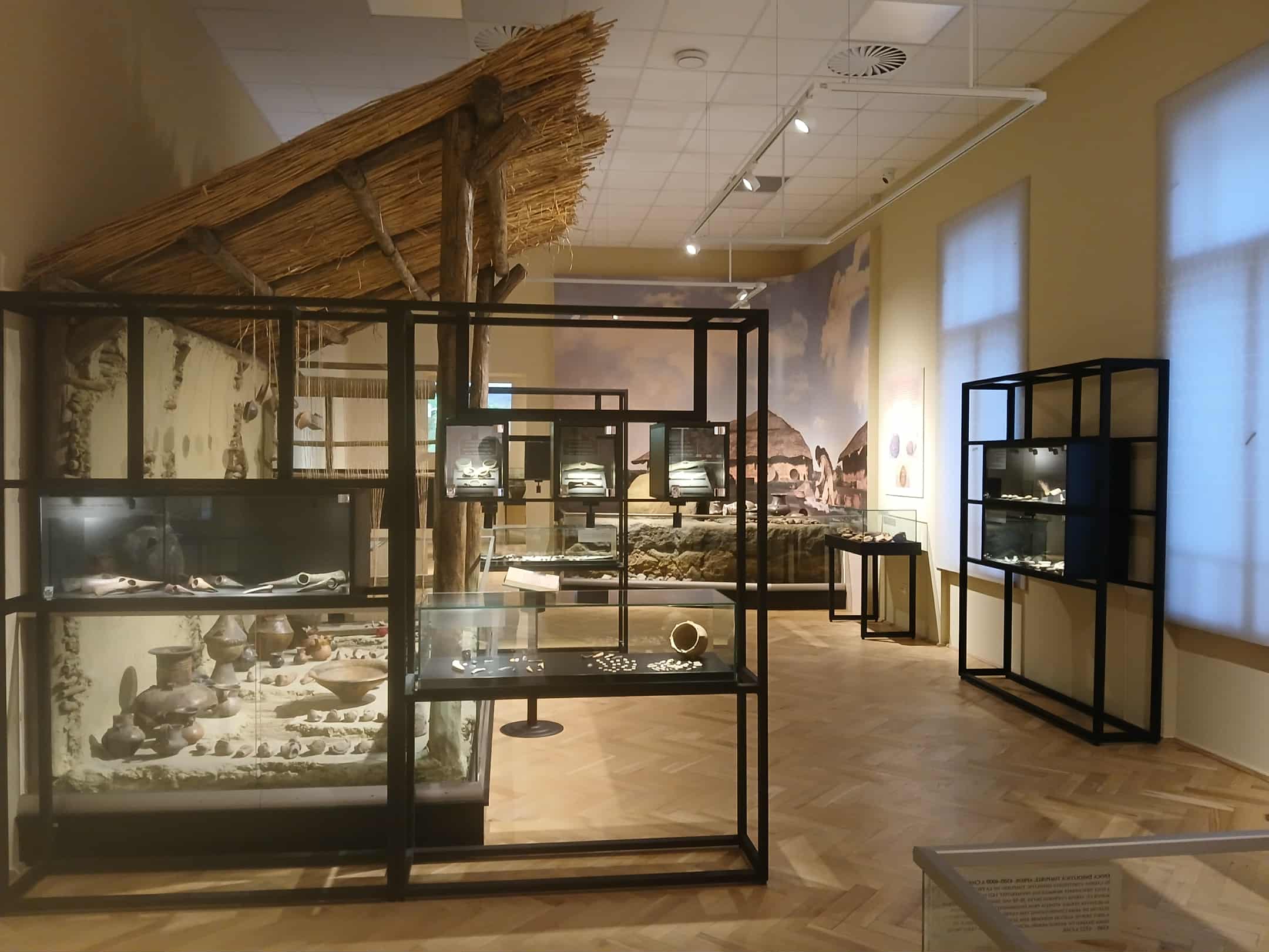 arad museum complex