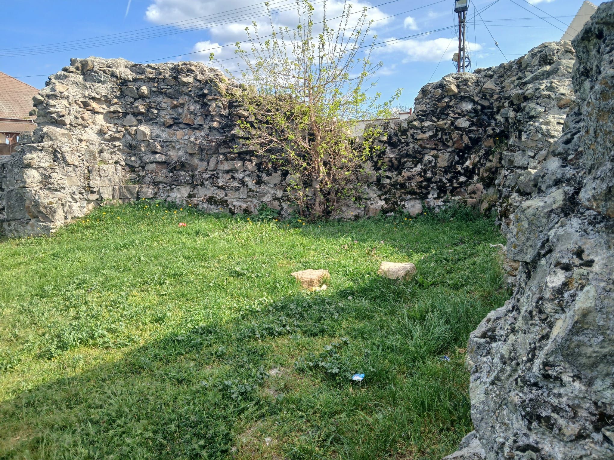 Aradi apatsag