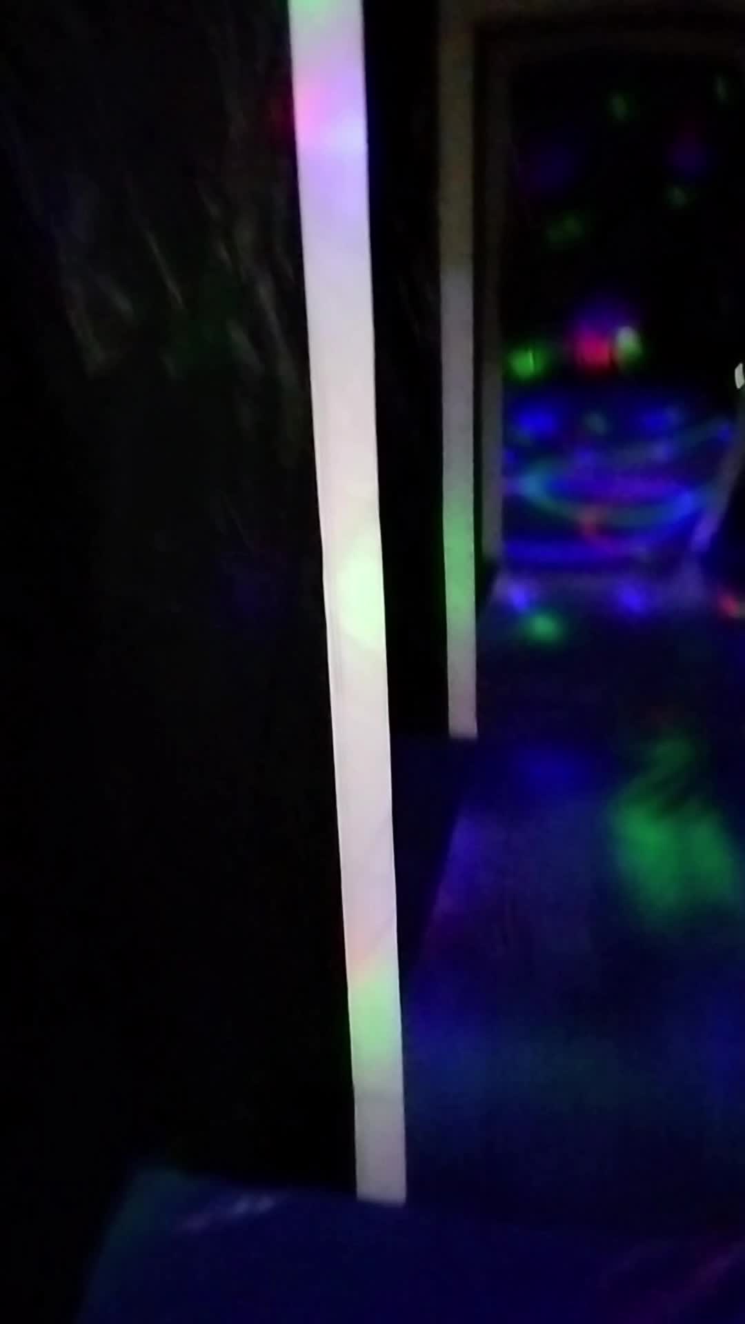 Vue intérieure Laser Game gonflable