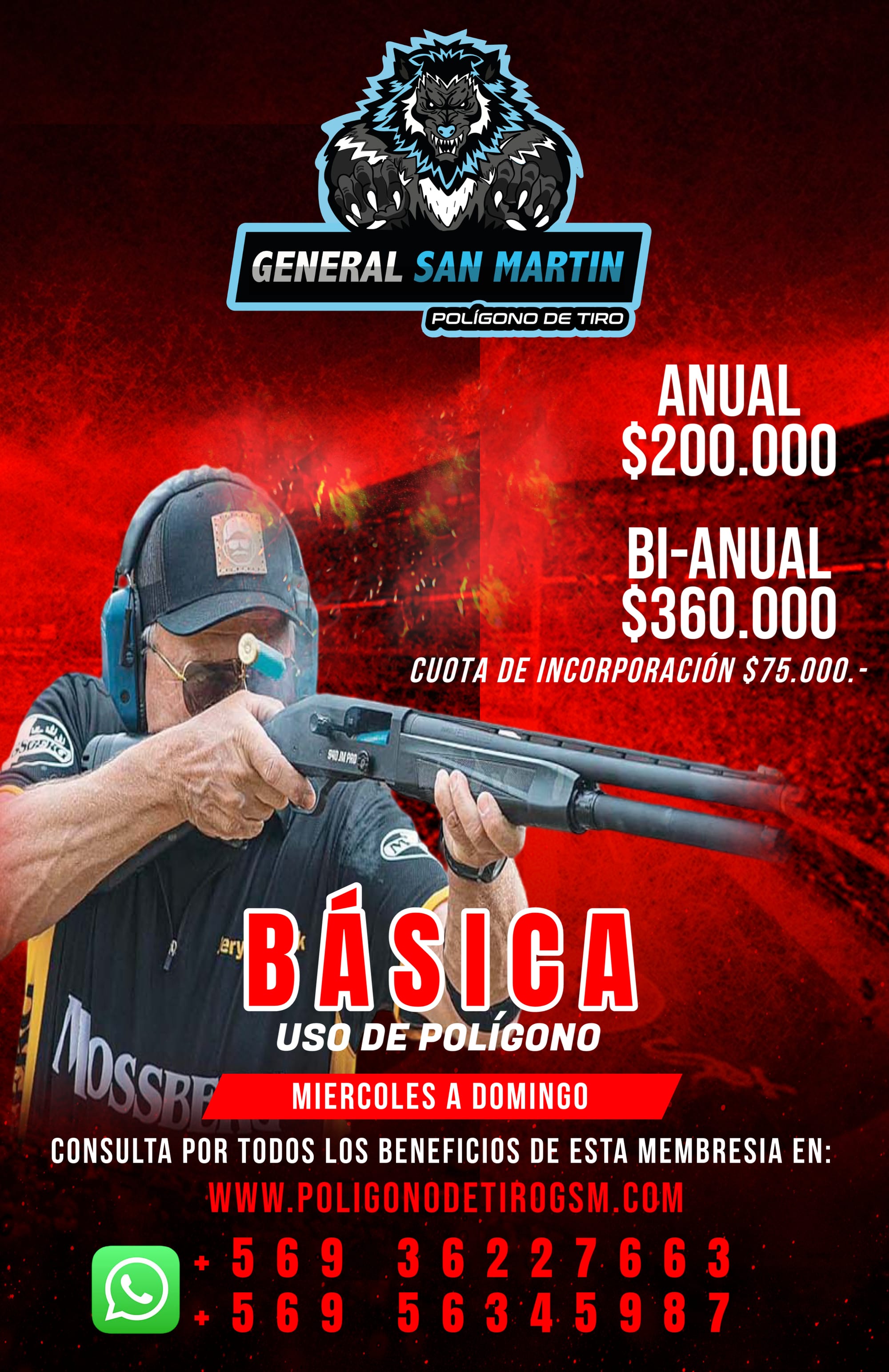 BASIC MEMBERSHIP