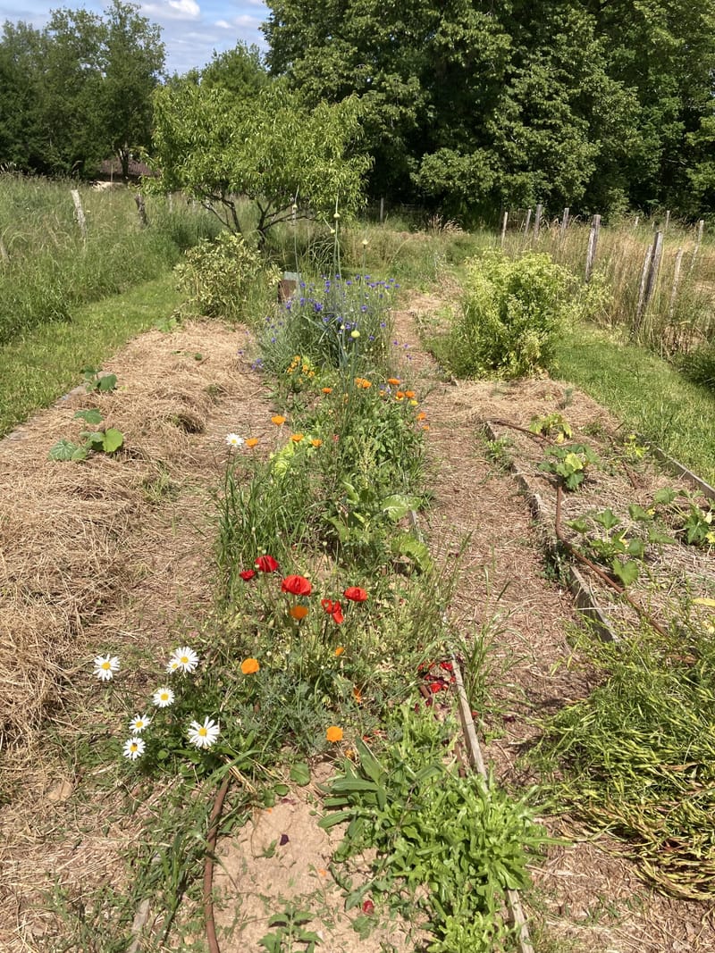 Les produits du Terrier