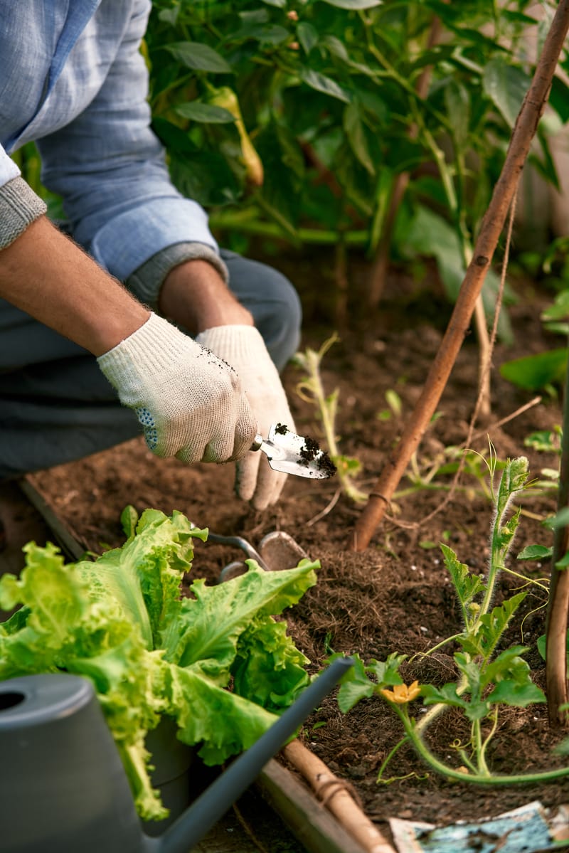 How Gardening Helps You Reclaim Your Power