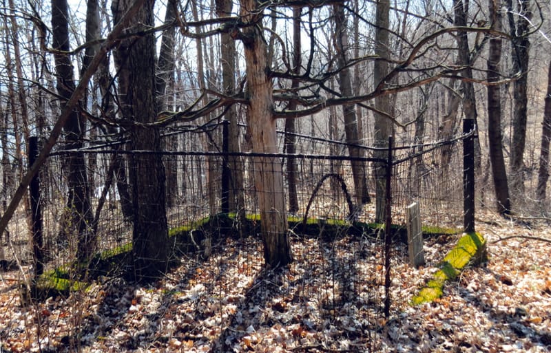 Surrounded by woods