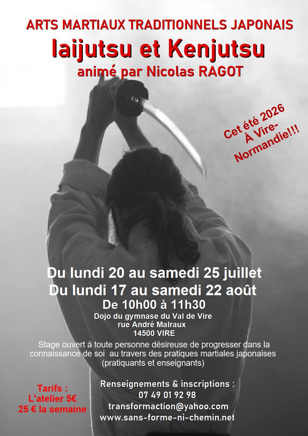 Cours  et stages d'arts martiaux d'été ouverts à tous