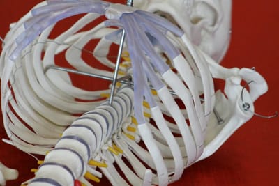 témoignage de Laura Atzei