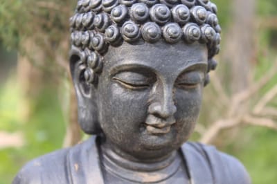 Méditation en silence, étude de sutta, assise et en marchant - cours tous les dimanches de 9h30 à 10h45