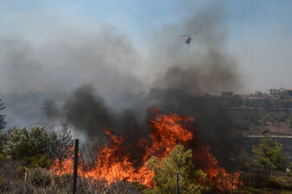 00:00 13/08/2024Φωτιά στην Άνω Γλυφάδα: Δυο συλλήψεις για εμπρησμό