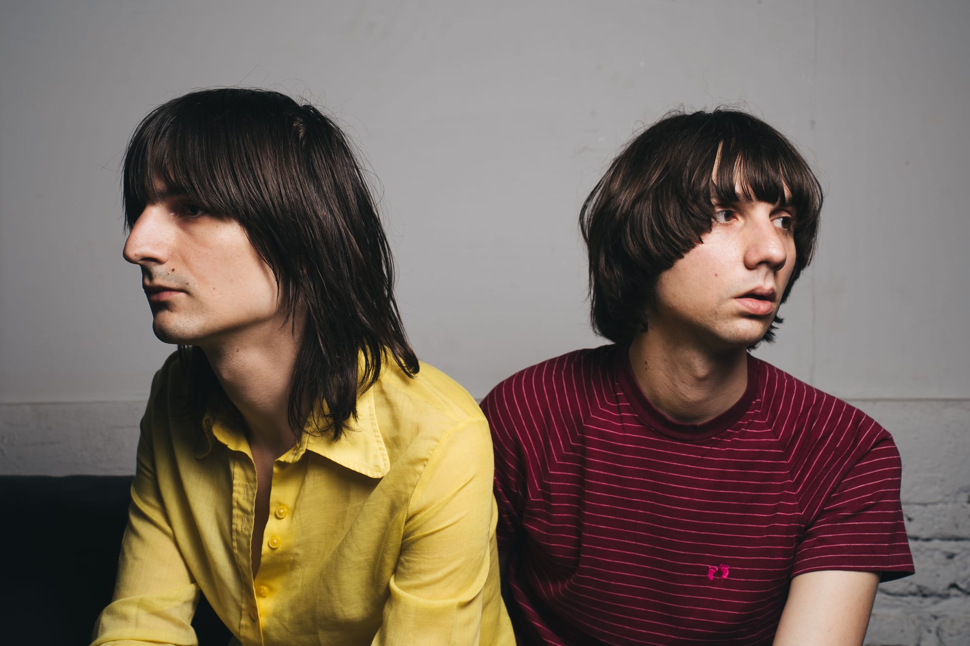 THE LEMON TWIGS