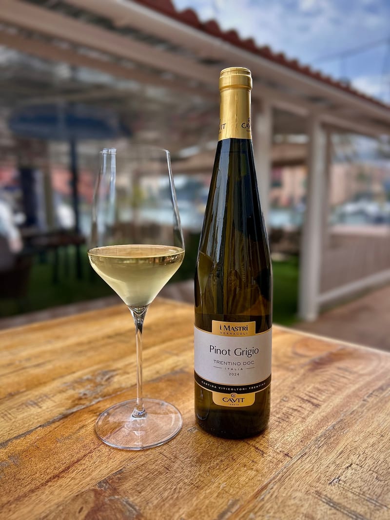 Pinot grigio dalle venezie d.o.c