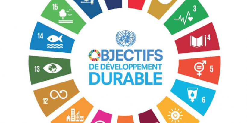 OMS : LE PLAN 2025-2028