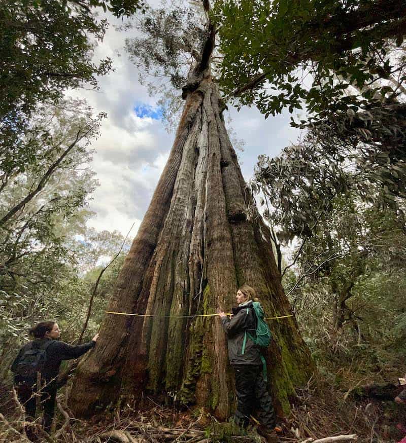 1st SCIENTIFIC RESEARCH EXPEDITION TO GRANITE MOUNTAIN, GIPPSLAND