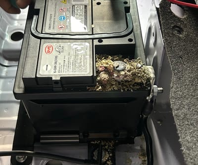 แบตเตอรี่ 12V BYD Dolphin เสื่อมจากคราบขี้เกลือที่ขั้วแบต