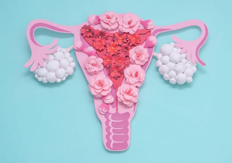 Los secretos del Síndrome de ovario poliquístico que quizás no te habían contado.