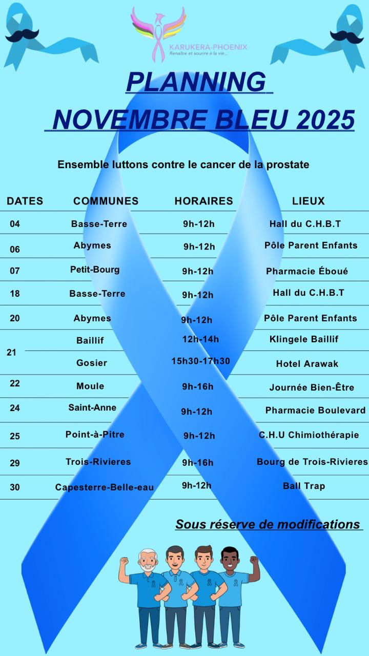 PLANNING NOVEMBRE BLEU